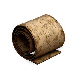 Birch Bark
