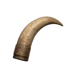 Hog Tusk