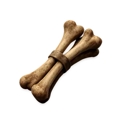 Bone