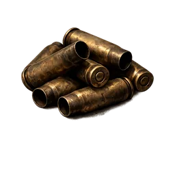 Brass Casings