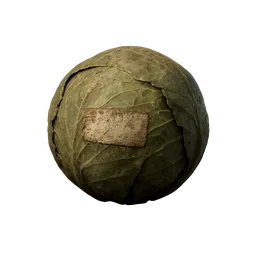 Cabbage