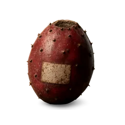 Prickly Pear