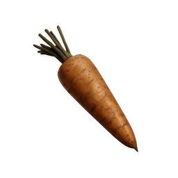 Carrot