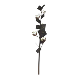 Cotton Bolls