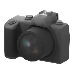 Disposable Camera