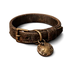 Dog Collar
