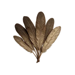 Feathers