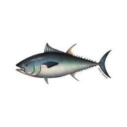 Giant Bluefin