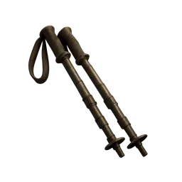 Hiking Poles