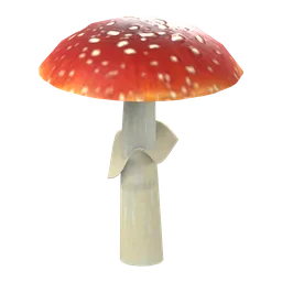 Fly Agaric
