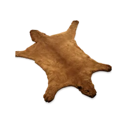 Mountain Lion Pelt
