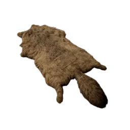 Coyote Pelt