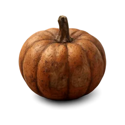 Pumpkin