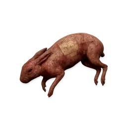 Raw Rabbit