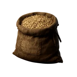 Seed Barley