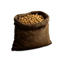 Corn Seeds