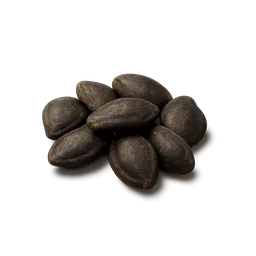 Watermelon Seeds