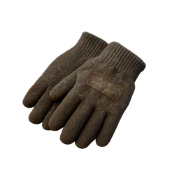 Wool Gloves